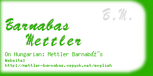 barnabas mettler business card